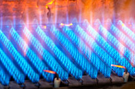 Trebanog gas fired boilers